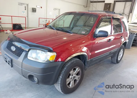 2005 Ford Escape Xlt z USA, uszkodzony, nr VIN 1FMYU03125KC11753